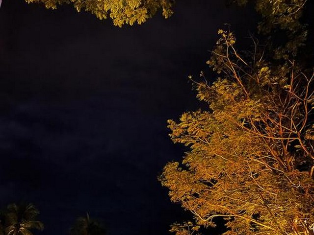 昆山附近夜景很美的地方,赞美苏州的优美的佳句